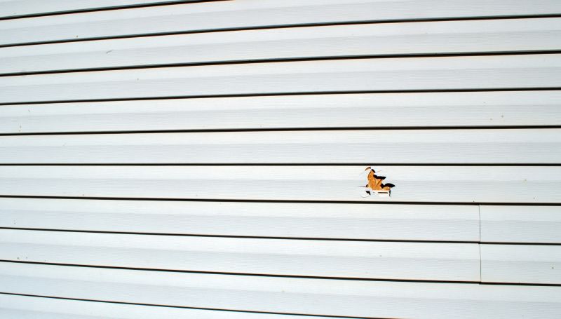 Vinyl Siding Repair Specialist