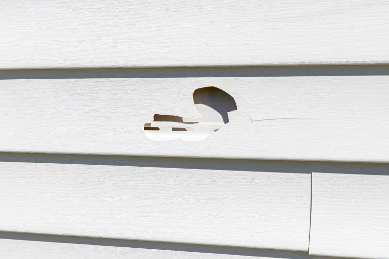 Sealing and Patching Vinyl Siding